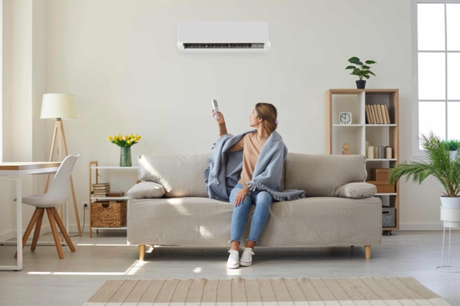 Ductless Mini Split System